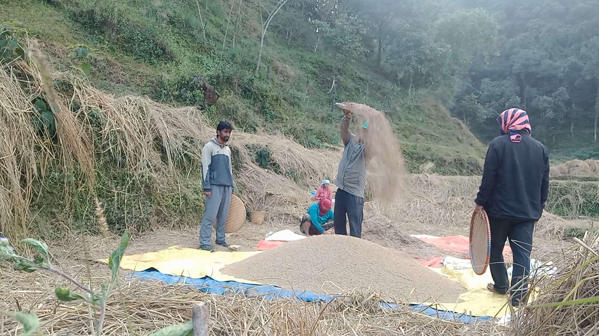 Local Farmers